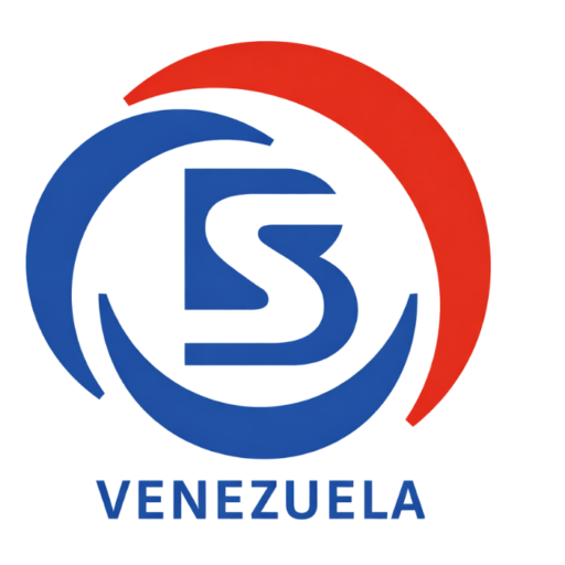 bsv logo corto